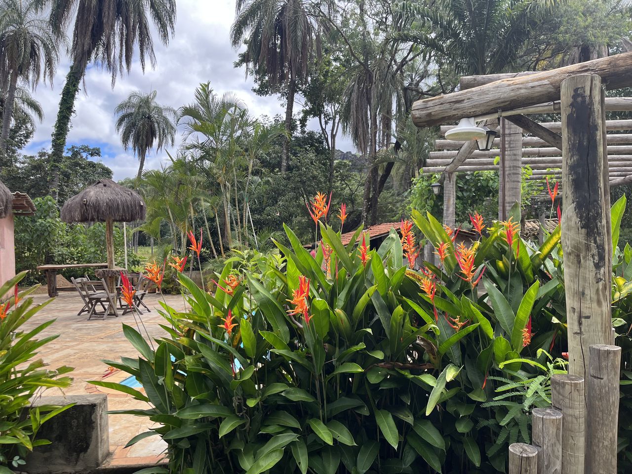 Piscina cercada por plantas tropicais